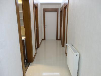 ÖRNEK DAİRE